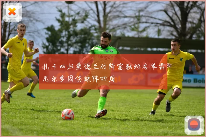 扎卡回归桑德兰对阵富勒姆名单雷尼尔多因伤缺阵四周